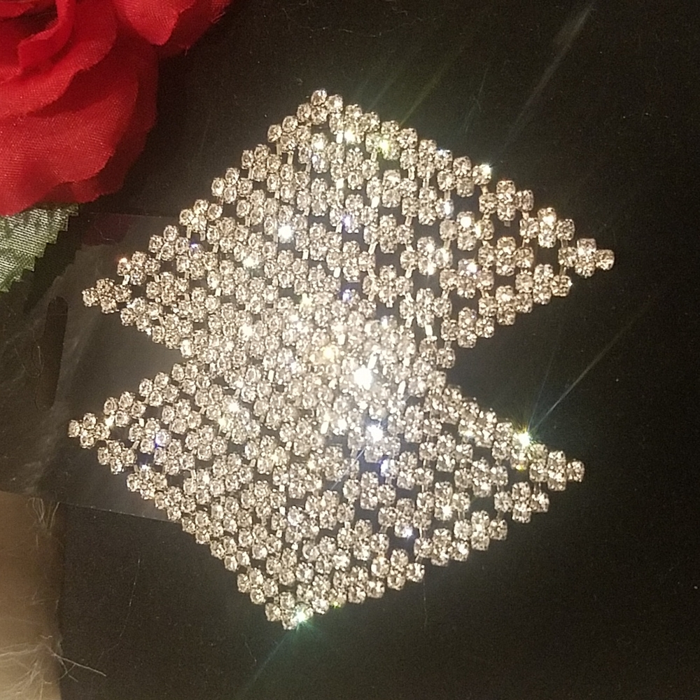 Rhinestone Covered Dangle Earrings - image 2